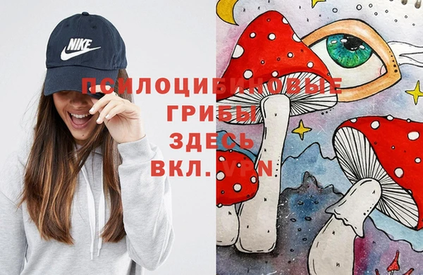 прущие крисы Алзамай